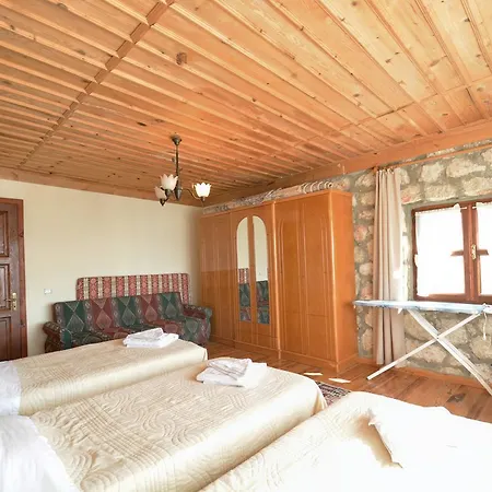 Feyza Kalkan